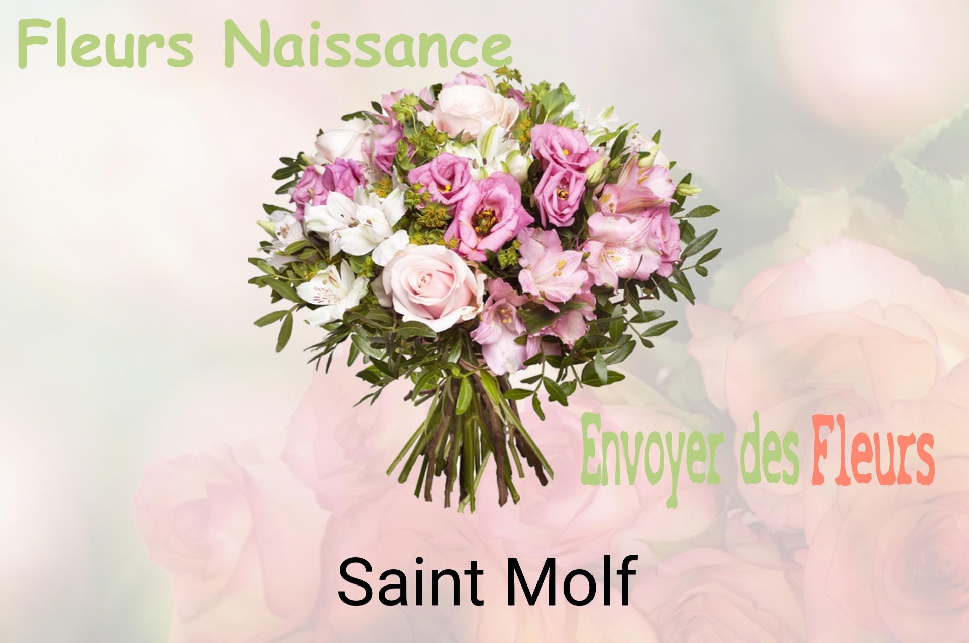 Bouquet de fleurs de naissance livré à Saint-Molf