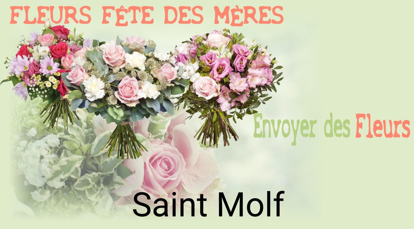 Bouquet de Fête des Mères livré à Saint-Molf